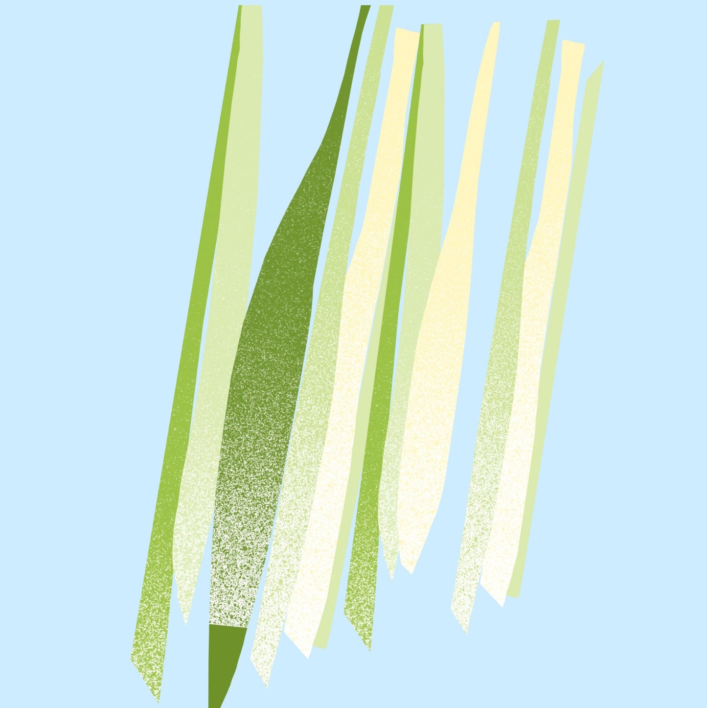 Lemongrass Essential Oil