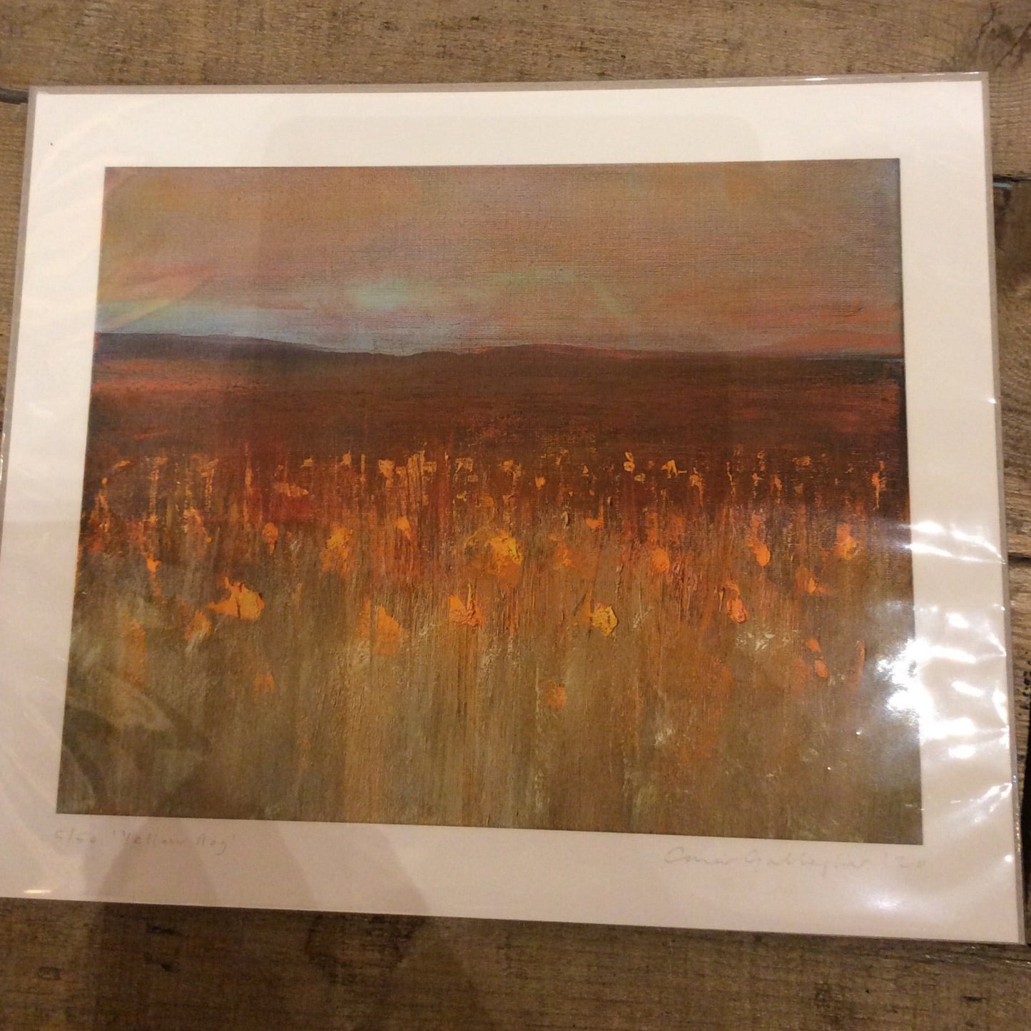 Hahnemulle Fine Art Print (Edition of 50)